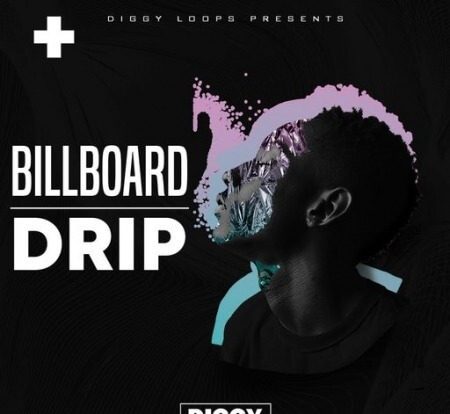 Diggy Loops BillBoard Drips WAV